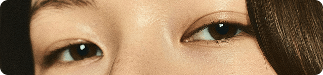 Web Design & Development